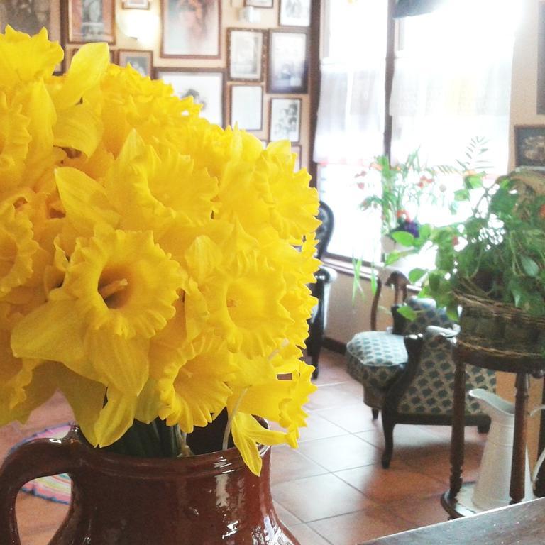 Hostal Santa Agueda Tarazona Esterno foto
